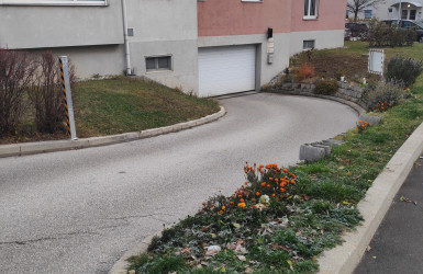 2025-11-20-08-09-37-546