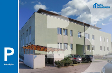 01 Titelbild Gferetfeldstraße 6