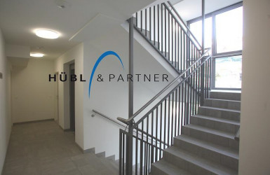 Stiegenhaus_web
